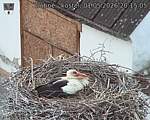 Capi_Dubne_20260501_201505.jpg