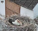 Capi_Dubne_20260501_203002.jpg