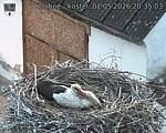 Capi_Dubne_20260501_203503.jpg