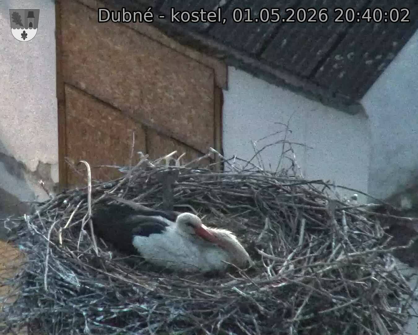 Capi_Dubne_20260501_204002.jpg (1350&nbsp;x&nbsp;1080)