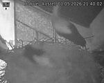 Capi_Dubne_20260501_214002.jpg
