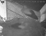 Capi_Dubne_20260501_220502.jpg