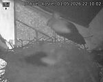 Capi_Dubne_20260501_221003.jpg