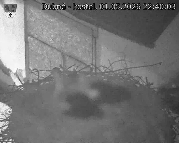 Capi_Dubne_20260501_224003.jpg (1350&nbsp;x&nbsp;1080)