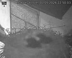 Capi_Dubne_20260501_225003.jpg