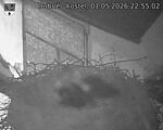 Capi_Dubne_20260501_225502.jpg
