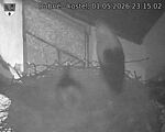 Capi_Dubne_20260501_231502.jpg