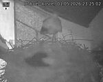 Capi_Dubne_20260501_232502.jpg