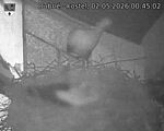 Capi_Dubne_20260502_004502.jpg