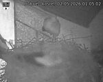 Capi_Dubne_20260502_010502.jpg