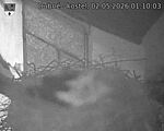 Capi_Dubne_20260502_011003.jpg
