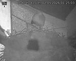 Capi_Dubne_20260502_012503.jpg