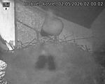 Capi_Dubne_20260502_020002.jpg