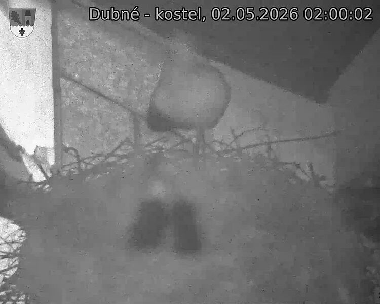 preload