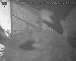 Capi_Dubne_20260502_021503.jpg