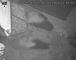 Capi_Dubne_20260502_024502.jpg