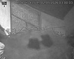 Capi_Dubne_20260502_030003.jpg