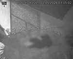 Capi_Dubne_20260502_031502.jpg