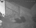 Capi_Dubne_20260502_034502.jpg
