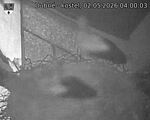 Capi_Dubne_20260502_040003.jpg