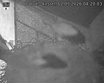 Capi_Dubne_20260502_042003.jpg