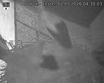 Capi_Dubne_20260502_043003.jpg