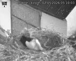 Capi_Dubne_20260502_051003.jpg