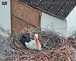 Capi_Dubne_20260502_054502.jpg