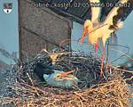 Capi_Dubne_20260502_060002.jpg