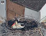 Capi_Dubne_20260502_065504.jpg