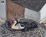 Capi_Dubne_20260502_070003.jpg