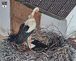 Capi_Dubne_20260502_074004.jpg