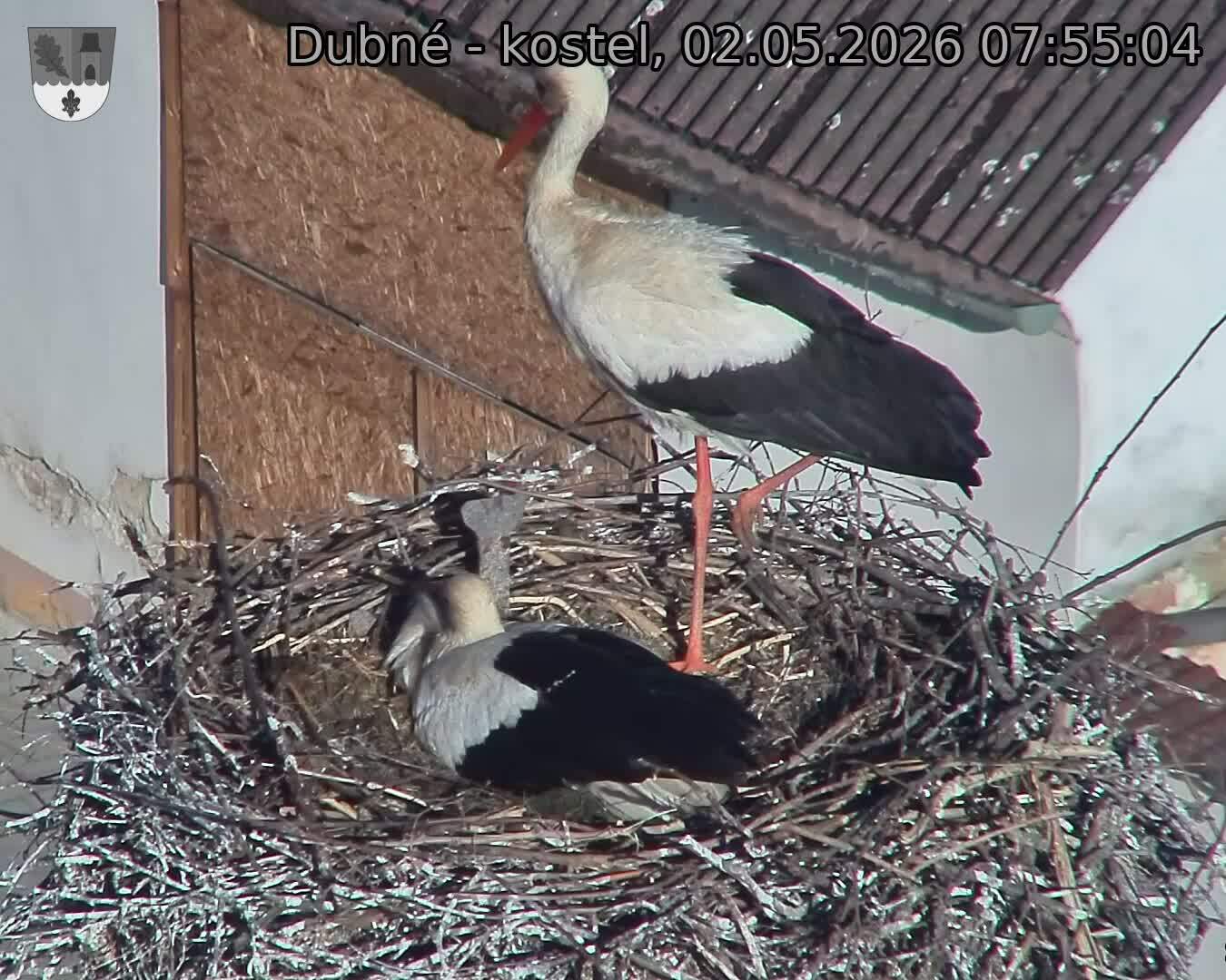 Capi_Dubne_20260502_075504.jpg (1350&nbsp;x&nbsp;1080)