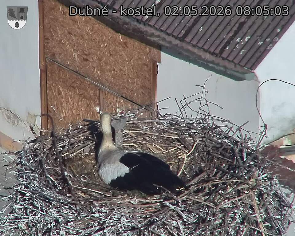 preload