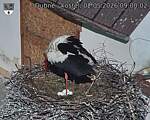 Capi_Dubne_20260502_090003.jpg