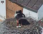 Capi_Dubne_20260502_102003.jpg