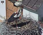 Capi_Dubne_20260502_115502.jpg