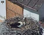 Capi_Dubne_20260502_122503.jpg
