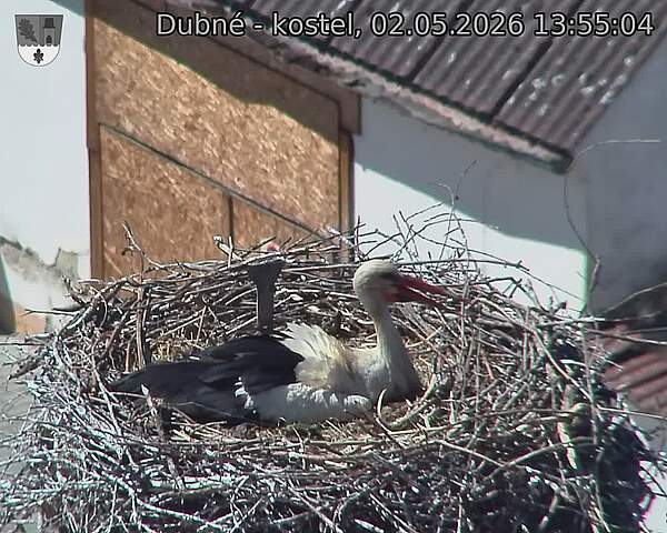 preload