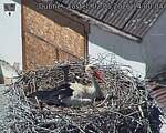 Capi_Dubne_20260502_140004.jpg