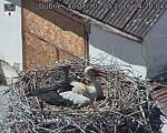 Capi_Dubne_20260502_142004.jpg