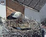 Capi_Dubne_20260502_151003.jpg
