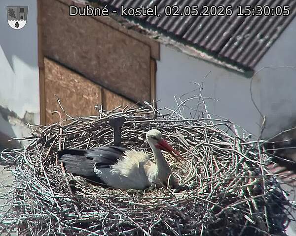 preload