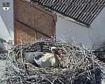 Capi_Dubne_20260502_154004.jpg