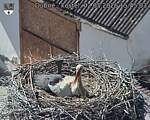 Capi_Dubne_20260502_154503.jpg