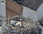 Capi_Dubne_20260502_163503.jpg