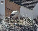 Capi_Dubne_20260502_164002.jpg
