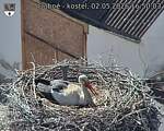Capi_Dubne_20260502_165003.jpg