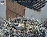 Capi_Dubne_20260502_165504.jpg