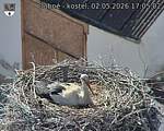 Capi_Dubne_20260502_170502.jpg